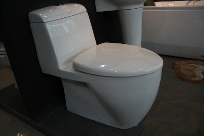 陶瓷衛(wèi)生潔具八見解 多功能、富于表現(xiàn)力與生命力