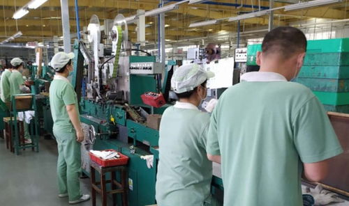 廣州輕工集團(tuán) 以創(chuàng)新驅(qū)動(dòng)高質(zhì)量發(fā)展，譜寫輕工業(yè)新篇章